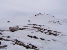2010-03-21-00-00-07.jpg