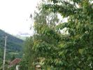 2010-06-01-08-47-31.jpg