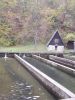 Ime fajla=2004-12-20-00-00-125.jpg
Veličina fajla=241KiB
Dimenzije=600x800
Datum postavljanja=%20. %705 %2004. 2004-12-20-00-00-125.jpg