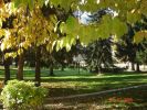 2005-10-26-10-31-28.jpg