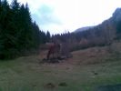 2008-11-16-00-00-01.jpg