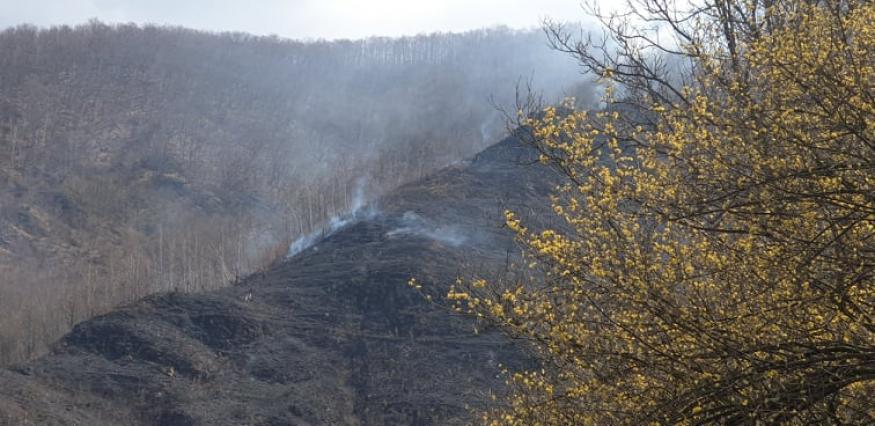 Krizni štab - Tematska sjednica o učestalim požarima na području općine Fojnica