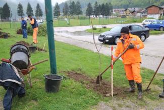 Počela sadnja ukrasnog drveća i cvijeća
