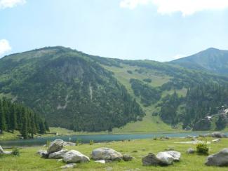 Sutra akcija čišćenja Prokoškog jezera