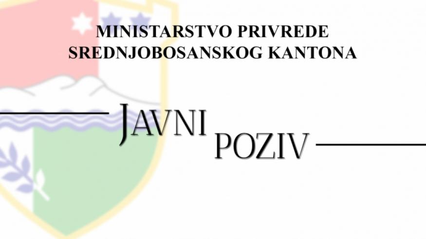 JAVNI POZIV ZA DODJELU FINANSIJSKIH SREDSTAVA