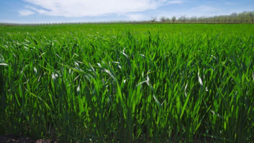 Ministarstvo poljoprivrede, vodoprivrede i šumarstva SBK: Obavijest za ratare